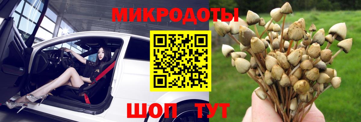 Псилоцибиновые грибы Cubensis Кохма