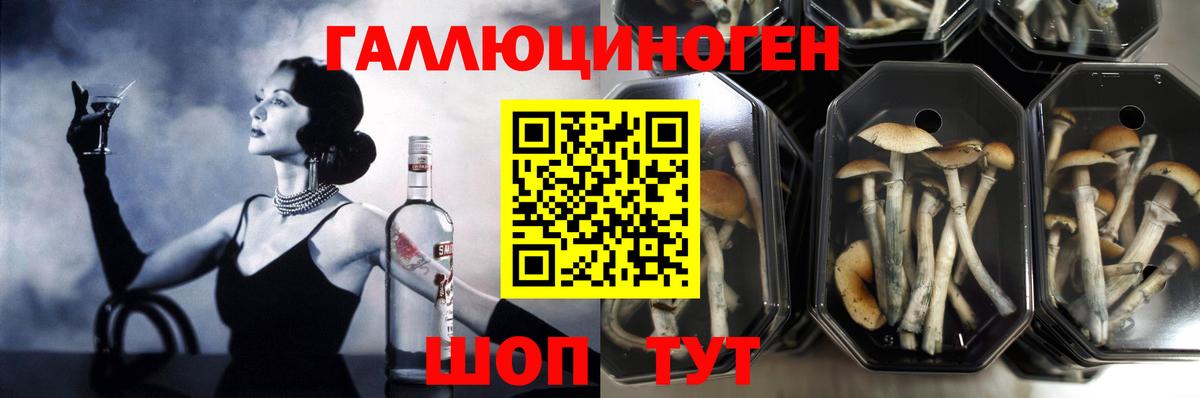 Псилоцибиновые грибы Psilocybe  Вход с VPN  Кохма  Галлюциногенные грибы ЛСД 